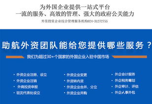 沈陽外資企業(yè)注冊與財務(wù)公司涉外服務(wù)全攻略 技術(shù)咨詢與技術(shù)服務(wù)的專業(yè)支持